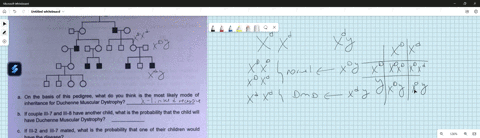 laroratory-exercises-genetics-on-the-basis-this-pedigree_-what-do-you-think-is-the-most-likely-mode-inheritance-for-duchenne-muscular-dystrophy-vekt-ih-ot-6zw4na-ducaim-if-couple-iii-7-and-i-83524