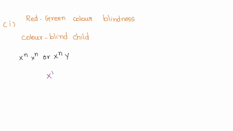 red-green-color-blindness-is-sex-linked-recessive-trait-on-the-x-chromsome-woman-with-normal-vision-whose-father-was-colorblind-marries-man-with-normal-vision-what-is-the-probability-that-th-27627