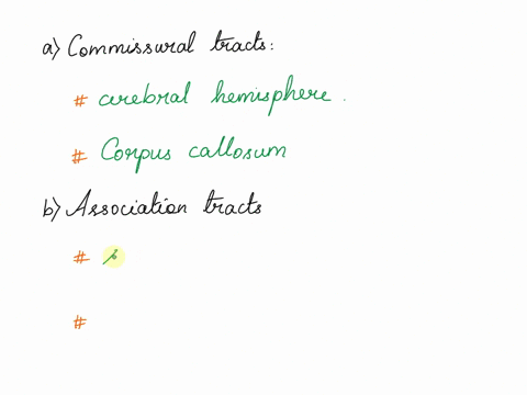 distinguish-between-commissural-association-and-projection-tracts-of-the-cerebrum-18417