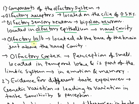 discuss-the-components-of-the-olfactory-systemthe-olfactory-receptorsthe-olfactory-sensory-neuronsthe-olfactory-bulb-and-the-cortexthen-discuss-what-kinds-of-evidence-support-the-idea-that-d-19502