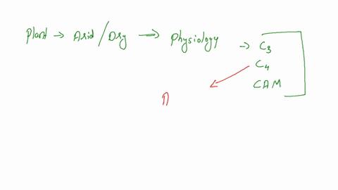 question-11-2-points-plants-are-found-in-arid-or-dry-environments-and-only-take-up-co2-at-night-storing-it-during-the-day-as-organic-acids-a-c3-plants-b-c4-plants-c-cam-plants-d-none-of-the-46973