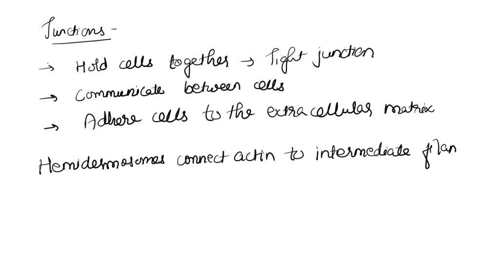 SOLVED Extracellular Matrix Which function of junctions is incorrect? Nonjunctional adhesion