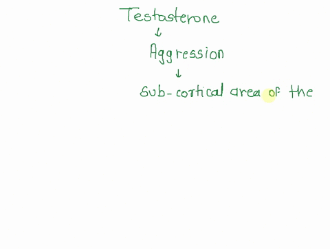 hypothesize-why-hormone-like-testosterone-which-makes-animals-especially-males-more-aggressive-would-have-evolved-in-other-words-what-purpose-did-it-serve-84471