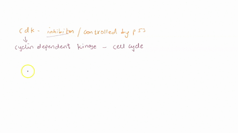 which-molecule-is-a-cdk-inhibitor-or-is-controlled-by-p53-a-anti-kinase-b-cyclin-c-p21-d-rb-37814