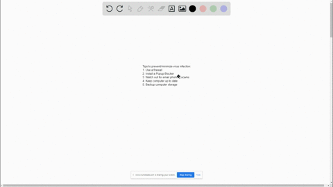 malware-viruses-spyware-and-adwarebesides-keeping-your-antivirus-software-up-to-date-what-are-some-other-steps-you-can-take-to-either-prevent-virus-infection-or-minimize-the-effects-if-you-d-01734