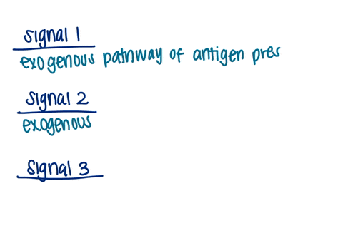 classify-the-events-as-possible-precursors-for-a-professional-antigen-presenting-cell-papc-activating-signal-1-signal-2-or-signal-3-in-an-interaction-with-a-naive-cd4-t-cell-not-all-of-the-e-45917