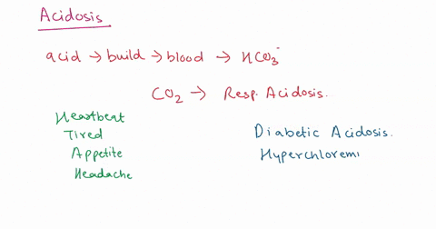 31-acidosis-occur-due-to-any-of-the-following-except-pulmonary-fibrosis-b-chronic-renal-failure-prolonged-vomiting-0-uncontrolled-dm-severe-diarrhea-41-a-54-old-male-patient-states-he-have-b-24852