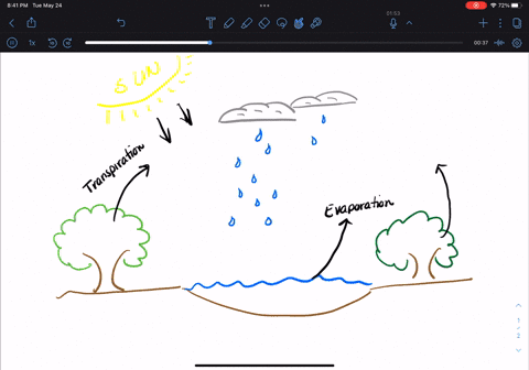 which-lists-the-correct-order-of-processes-that-occur-as-water-moves-from-a-pond-to-a-cloud-and-then-forms-rain-24445