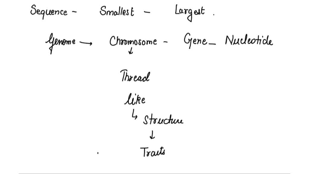 solved-which-of-the-following-correctly-organizes-these-genetic-terms