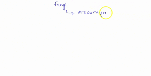 fungi-experiment-2-observing-ascomycota-yeast-post-lal-questions-ccmpar-yato-tke-pezizu-slide-idenifyat-leas-one-jiferecceand-one-similarity-how-d1aj-ascospores-each-ascus-of-theyeast-are-th-97357