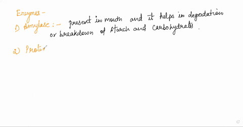 macromolecule-what-is-the-enzyme-that-breaks-down-this-macromolecule-where-is-this-enzyme-found-saliva-mouth-carbohydrates-proteases-pepsin-trypsin-chymotrypsin-pepsin-stomach-trypsin-found-46632