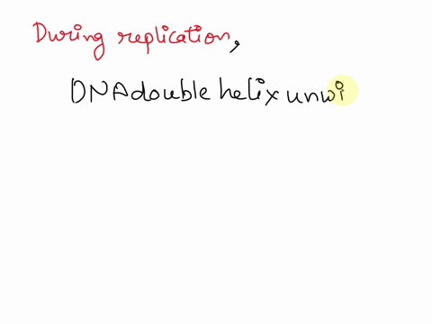 in-replicationa-dna-strand-is-made-into-0-adna-strand-and-an-rna-strand-two-daughter-dna-strands-two-daughter-rna-strands-many-individual-nucleotides-08816
