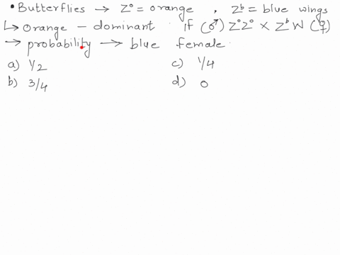 wing-color-in-butterflies-is-determined-by-a-sex-linked-allele-zo-codes-for-orange-wings-and-2b-codes-for-blue-wings-orange-is-dominant-over-blue-if-a-male-with-the-genotype-20z0-mates-with-37693