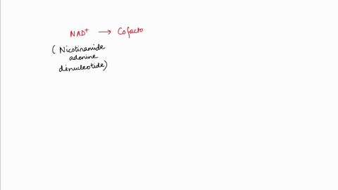 what-is-the-function-of-nadnadh-in-metabolic-pathways-to-transfer-phosphates-onto-atp-to-accept-electrons-and-hydrogen-ions-to-provide-activation-energy-for-enzymatic-reactions-to-serve-as-a-87543