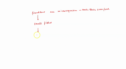 help-plzzz-10-points-question-3-multiple-chaice-worth-points-404-mc-some-viruses-found-on-the-oceans-surface-can-infect-and-kill-plankton-how-would-thts-affect-the-ish-population-and-human-h-32297