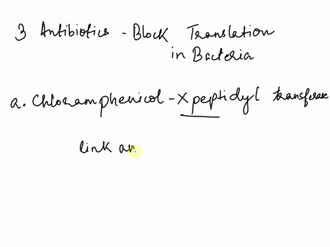 many-different-antibiotics-affect-steps-in-translation-based-on-the-mode-of-action-of-each-antibiotic-suggest-a-possible-mechanism-by-which-it-worksa-chloramphenicol-blocks-the-peptidyl-tran-68848