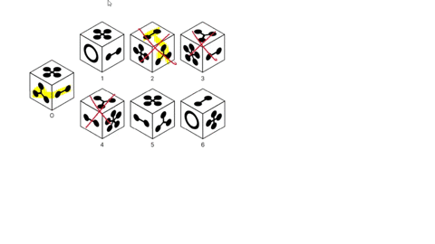13-12-b-si1-60-problem-solving-question-cr-08-choose-the-option-that-could-be-a-possible-rotation-of-the-original-block-marked-0-note-there-is-a-unique-picture-on-each-side-of-each-of-the-blocks-and-t