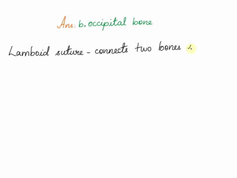 the-lambdoid-suture-joins-the-parietal-bone-to-the-________-a-frontal-bone-b-occipital-bone-c-other-49165