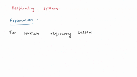 12-what-body-system-allows-a-person-to-breathe-and-exchange-gases-such-as-oxygen-and-carbon-dioxide-throughout-thea-digestive-system-b-circulatory-system-c-nervous-system-d-respiratory-syste-34118