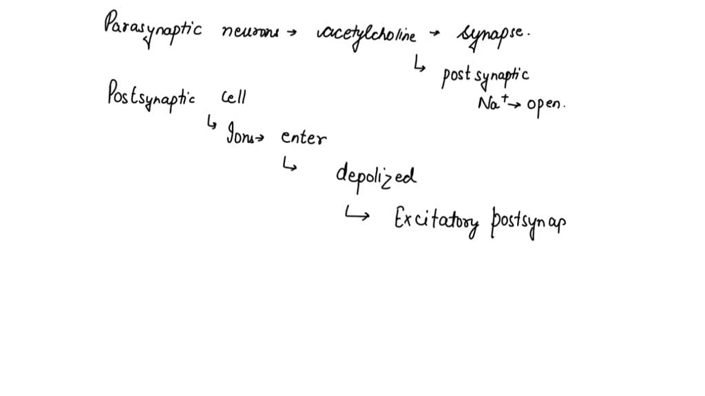 SOLVED: 'Question (2 points) neuron secretes neurotransmitter by ...