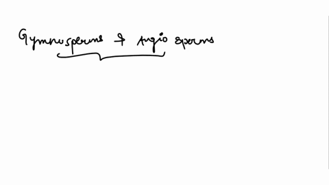 identify-the-key-features-that-distinguish-gymnosperms-from-angiosperms-gymnosperms-have-cones-instead-of-flowers-_-only-gymnosperms-form-microspore-gymnosperms-have-naked-seeds_-gymnosperms-59823