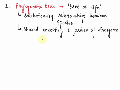 1pts-question1-what-is-a-phylogenetic-tree-choose-all-that-apply-a-representation-of-thetree-of-life-a-diagram-of-the-evolutionary-relationships-between-organisms-the-result-of-a-cladistic-a-67435