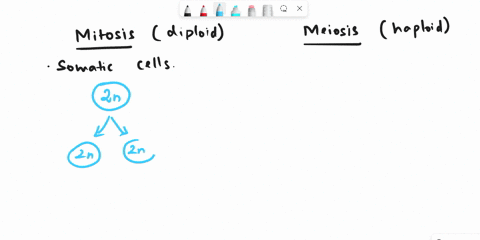 explain-how-the-daughter-cells-formed-by-mitosis-are-different-from-the-daughter-cells-formed-by-meiosis-both-the-number-of-daughter-cells-produced-and-the-dna-content-of-those-cells-43112