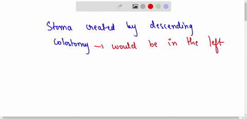 what-anatomical-region-would-the-stoma-created-by-the-descending-colostomy-be-in-92205