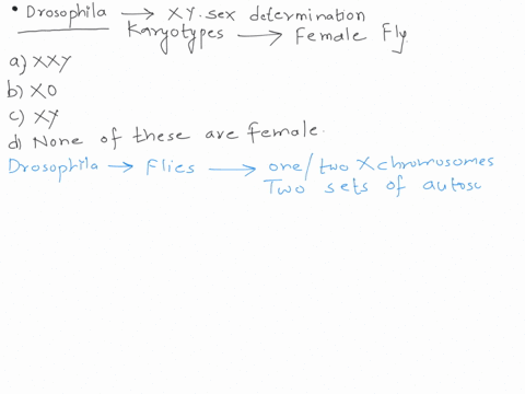 drosophila-has-x-y-sex-determination-which-of-the-following-karyotypes-leads-to-a-female-fly-a-xxy-b-xo-c-xy-d-none-of-these-are-female-genetic-question-please-provide-explanation-i-understa-99805