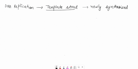 bio-31-replicating-strands-during-dna-replication-the-strand-is-the-one-being-used-by-dna-polymerase-to-produce-a-strand-of-dna-multiple-choice-rna-daughter-newly-synthesizedtemplate-templat-37828