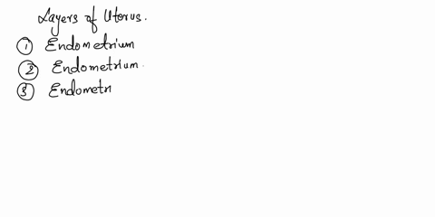 exercise-2-identify-the-utcrine-layers-identify-the-laycr-of-thc-uterus-in-cach-of-the-following-descriptions-endometium-myomeltium-nesomerrlum-high-progesterone-levels-keep-ihis-iayer-quiet-25453