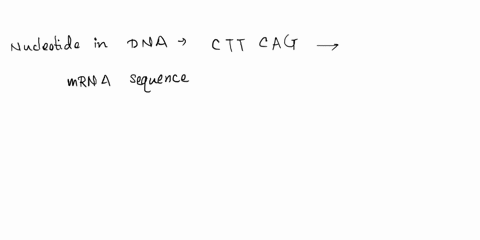 help-please-during-transcription-the-dna-strand-being-transcribed-has-the-following-nucleotides-ctt-cag-what-would-be-the-matching-nucleotides-on-the-mrna-select-one-1-gaa-guc-2guu-gtc-3-auu-39963
