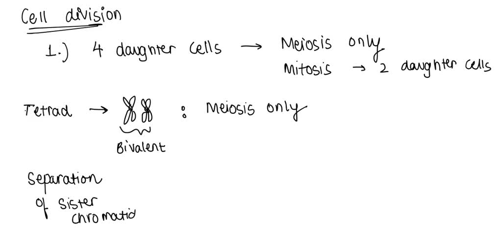 SOLVED: The following questions refer to the essential steps in Meiosis ...