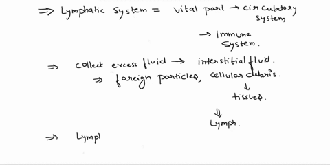 where-does-all-the-fluid-collected-as-lymph-eventually-end-up-10559