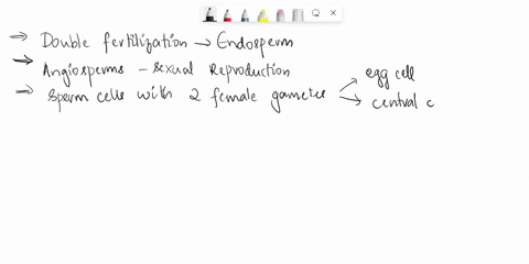 double-fertilization-is-immediately-followed-by-development-of-endosperm-explain-the-link-between-the-two-process-15201