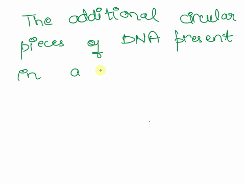 what-the-additional-circular-pieces-of-dna-present-in-a-bacterial-cell-called-09533
