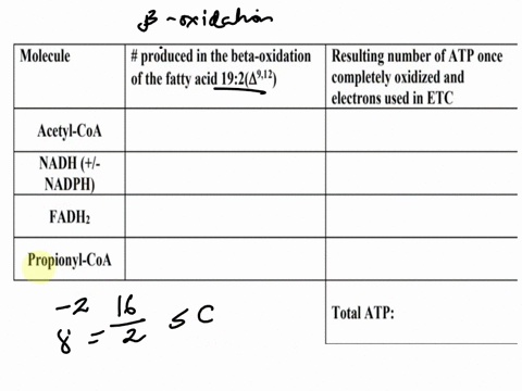 calculate-the-potential-yield-of-atp-equivalents-that-are-produced-from-the-complete-oxidation-of-a-1924912-fatty-acid-assume-that-each-nadh-yields-25-atps-and-that-each-fadhz-yields-15-atps-16137