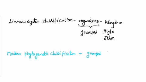 in-what-ways-does-the-classical-linnean-classification-system-differ-from-modern-phylogenetic-systematics-which-system-do-you-find-more-useful-for-your-learning-or-for-classifying-organisms-31472