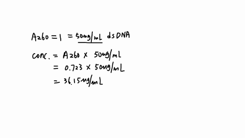 from-a-small-cultureyou-have-purified-the-dna-of-a-recombinant-plasmidyou-add-500-ml-of-elution-buffer-to-resuspend-the-dnayou-pipet-1-ml-of-the-resuspended-dna-with-399-ml-of-distilled-wate-02335