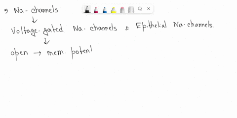 what-causes-the-sodium-channels-to-open-68238