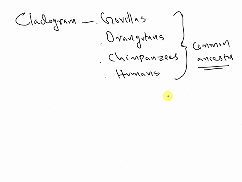 question-8-2-pts-you-created-a-cladogram-which-includes-gorillasorangutans-chimpanzeesand-humans-as-branches-from-a-common-ancestorwhat-can-you-conclude-o-humans-originated-from-chimpanzees-79832