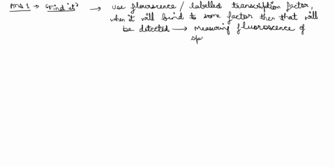 13-pts-you-want-to-identify-all-the-targets-of-this-transcription-factor-in-the-heart-and-the-limb-describe-an-experiment-to-do-this-state-whether-your-experiment-is-a-find-it-lose-it-or-mov-97238