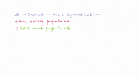 two-pairs-of-homologous-chromosomes-are-shown-in-the-cell-below-you-are-free-to-decide-the-characters-and-traits-represented-by-the-alleles-ha-a-assuming-that-no-crossing-over-occurred-in-th-46874