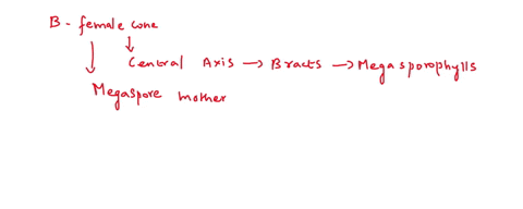 1-life-cycle-what-do-the-following-pictures-and-b-represent-hint-sexual-reproductive-structures-in-gymnosperms-record-your-answers-to-the-following-in-the-report-2-reproduction-can-you-see-t-99707