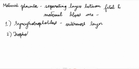 21-which-of-the-following-list-the-separating-layers-between-fetal-and-maternal-blood-best-describes-the-matured-placenta-syncytiotrophoblast-cytotrophoblast-trophoblast-basement-membrane-co-72059