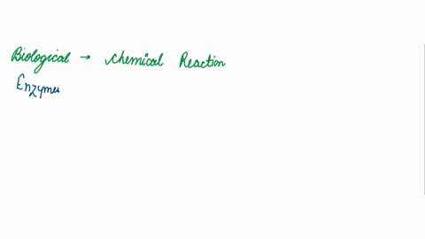 biological-catalysts-that-speed-up-chemical-reactions-within-cell-are-known-as-38898