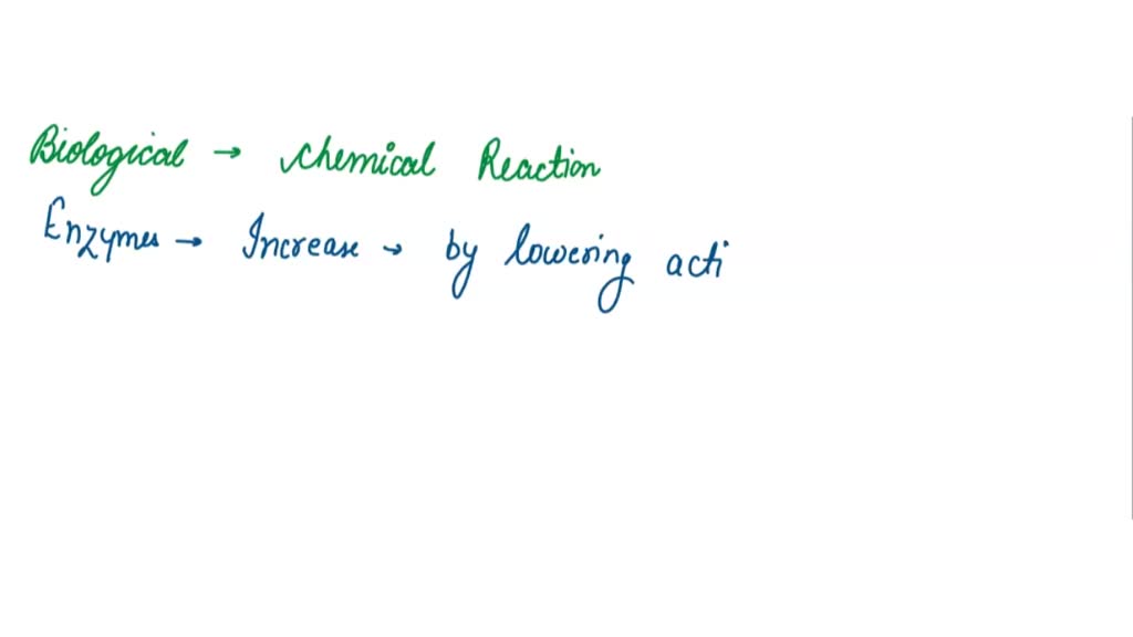 SOLVED Biological catalysts that speed up chemical reactions within