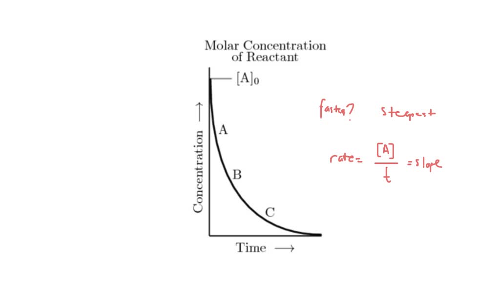 SOLVED: Consider the concentration-time depen- dence graph for a first ...