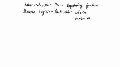 all-of-the-following-are-regulatory-functions-of-the-endocrine-system-except-select-one-a-labor-contractions-b-development-of-tissues-c-immune-functions-d-metabolic-rate-e-thermoregulation-15993