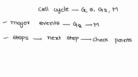 the-cell-cycle-include-g1-s-g2-and-m-phases-explain-the-major-events-in-transition-from-g2-to-m-inducing-entry-into-m-phase-by-mitotic-protein-kinases-your-answer-should-address-the-mitotic-51087